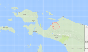 Tragis, 20 Warga Waropen Didominasi Remaja Meninggal Akibat HIV/AIDS