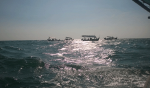 Nelayan diimbau waspadai cuaca di Laut Arafura