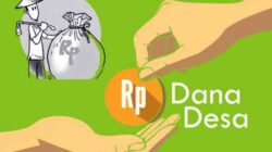 Masyarakat Berhak Awasi Dana Desa 15 Ilustrasi Dana Desa11