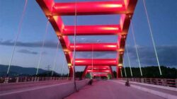 Pemprov Papua Akan Pesan Lampu JHH Dari Korsel