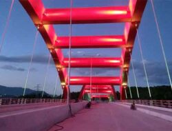 Pemprov Papua Akan Pesan Lampu JHH Dari Korsel