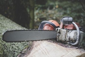 Operator Sensor Kayu Ditemukan Tewas Setelah Tebang Pohon