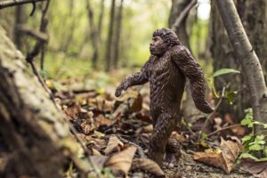 Misteri: Temuan Mengejutkan FBI Terkait Sampel Rambut Bigfoot