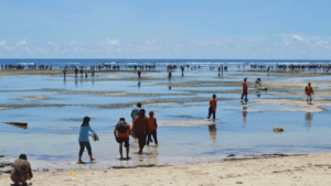 Kemenpar RI Dorong Pemda Tingkatkan Promosi Festival BMW