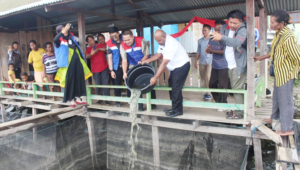Pertamina Lanjutkan CSR Budidaya Ikan Air Tawar di Pesisir Danau Sentani