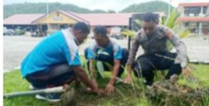 Jajaran Polres Yapen Tanam 250 Pohon Dukung Penghijauan