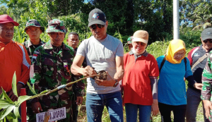 Komunitas Gorontalo Tanam 1000 Bibit Pohon Buah di Batas RI-PNG