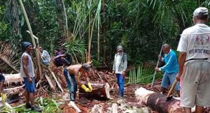 Pangan Lokal Jadi Pilihan Masyarakat Kei Hadapi Pandemi Covid-19