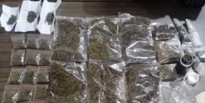 Pemuda Pengedar Ganja di Kota Jayapura Terancam 12 Tahun Penjara