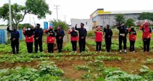 Personil Brimob Merauke Panen Hasil Program Ketahanan Pangan