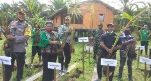 40 Hektar Hutan Sagu Kampung Yoboi Bakal Jadi Destinasi Wisata Alam