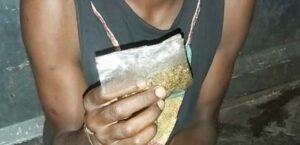 Bawa Ganja, Mahasiswa di Kota Jayapura Terancam Bui 12 Tahun