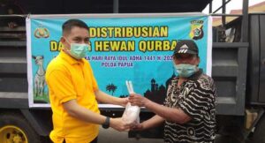 Polda Papua Bagikan 1.500 Kantong Daging Qurban ke Masyarakat