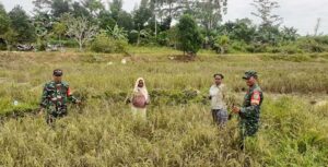 Ini yang Dilakukan TNI Untuk Membantu Masyarakat di Batas RI-PNG