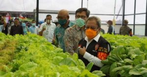 BI Maluku Dukung Pengembangan Daerah Penghasil Sayuran