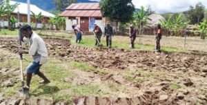 Babinsa Dampingi Petani Kampung Kimbim Buat Bedeng Tanam Hipere
