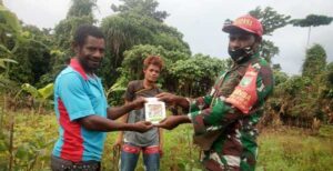 Peduli Ketahanan Pangan, Babinsa Yapsel Beri Bantuan Bibit Tomat