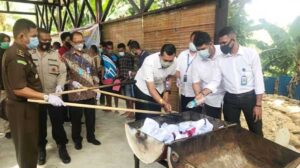 Polda Papua Musnahkan BB Sabu 279,28 dan Ganja 544,74 Gram