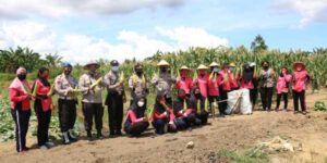 Kapolresta Jayapura Kota Pimpin Panen Jagung di Koya Barat
