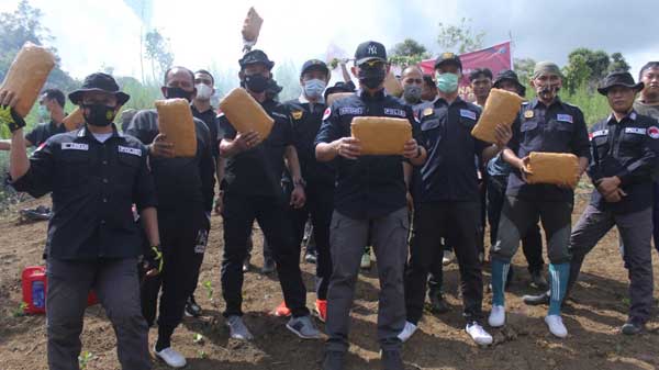 Ladang Ganja 5 Hektar di Sumut