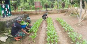 Tingkatkan Ketahanan Pangan, Satgas KH Cocok Tanam di Batas RI-PNG