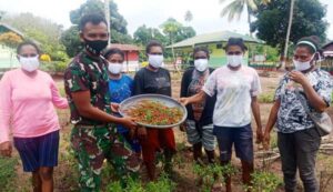 Jaga Kekompakan, Satgas TNI Bersama Warga Perbatasan Panen Cabai