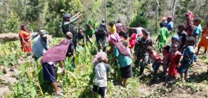Satgas Yonif PR 432 Kostrad Bersama Masyarakat Tingkatkan Ketahanan Pangan