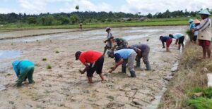 Dinas Pertanian Telbin Dorong 5 Bidang Unggulan