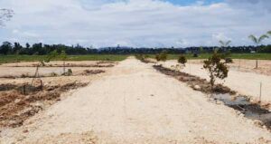 Pengembang Rollo Green Diamond Residence Promosi Kavling, Ini Rincian Harganya