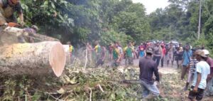 Pohon Tumbang Halangi Jalan Raya, Satgas 413 Kostrad Turun Tangan