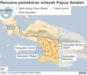 Soal Pemekaran Wilayah DOB, Ini Komentar Tomas dan Todat Papua