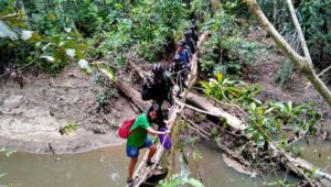 Satgas TNI Kawal Tim Puskesmas Yabanda Terobos Hutan Papua