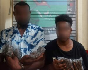 Bawa Ganja 4 Plastik, Polisi Tangkap Sepasang Remaja di Angkasa Indah
