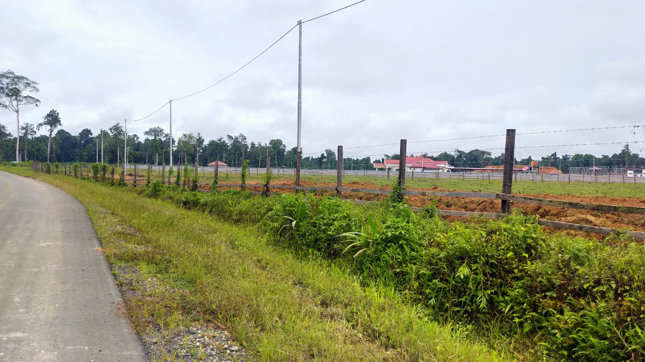 WhatsApp Image 2021 03 12 at 00.00.17