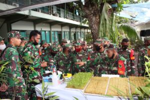 Kodim 1801/Manokwari Gelar Pelatihan Budidaya Tanaman Hidroponik