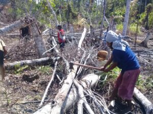 Binmas Noken Polresta Buka Lahan Baru Jaga Ketahanan Pangan