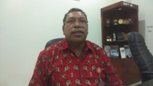 Ombudsman: Pemprov Papua dan Pemkab Mimika Harus Spesifik Soal 4 Persen Saham Masyarakat Adat