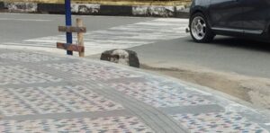 Trotoar di Ambon Jadi Wahana Baru Anak-anak Dimusim Penghujan