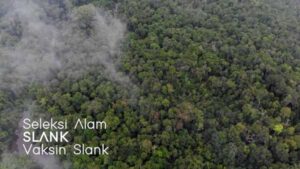 Hari Bumi 2021, Slank Dukung Upaya Perlindungan Hutan Papua dan Maluku