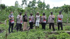 Binmas Noken Polri Cek Perkembangan Spot Pertanian di Kampung Mosso