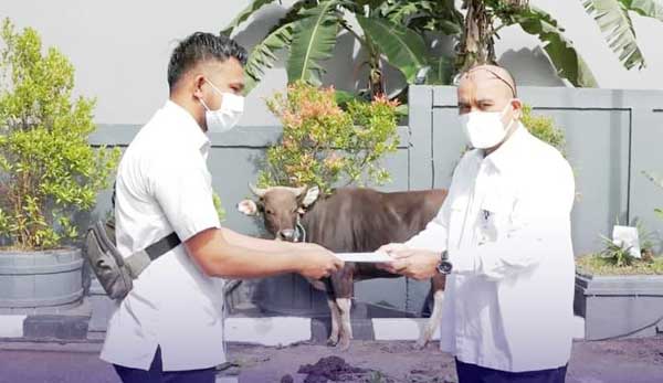 BPJN Maluku Berbagi Qurban