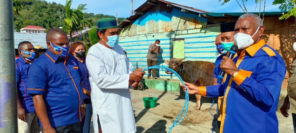 Sambut Idul Adha, DPW NasDem PB Sumbang 80 Qurban Sapi