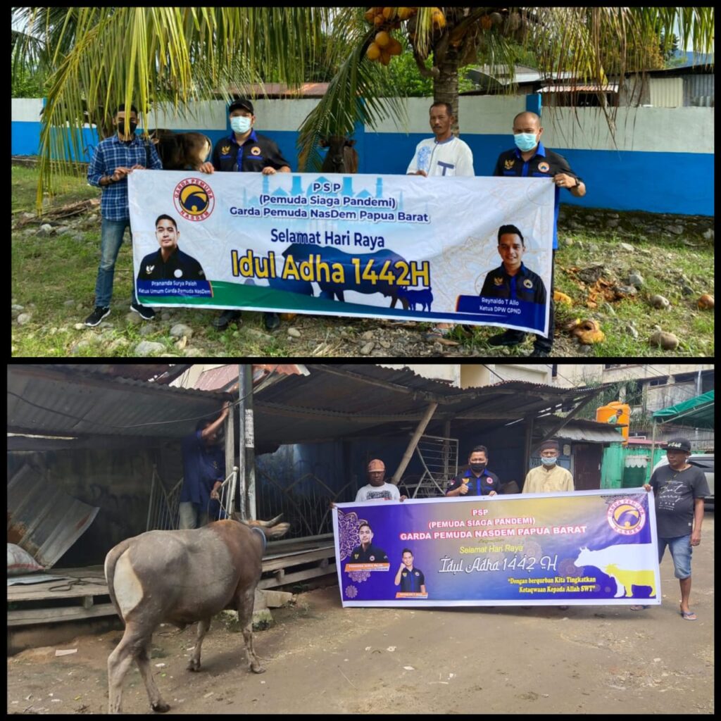 Prananda Surya Paloh Serahkan Qurban Sapi di Papua Barat
