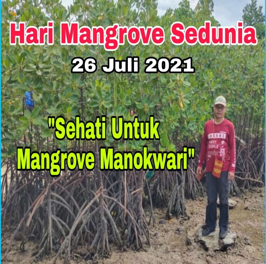 Peringati Hari Mangrove Sedunia, Lebang : Tingkatkan Sosialisasi Pentingnya Jaga Lingkungan