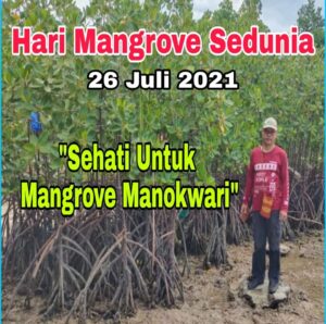 Peringati Hari Mangrove Sedunia, Lebang : Tingkatkan Sosialisasi Pentingnya Jaga Lingkungan