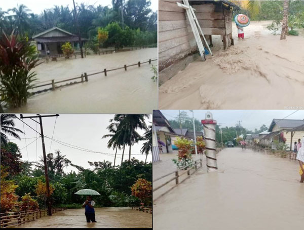 Legislator Maluku Soroti Penebangan Liar Picu Banjir di SBT 2 Banjir 3 Desa di Kec Salawat SBT