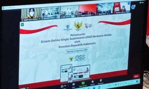 Bupati Safitri Hadiri Peluncuran Sistem OSS Berbasis Risiko