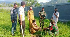 Satgas TNI Tanam 500 Pohon Pepaya di PLBN Skouw