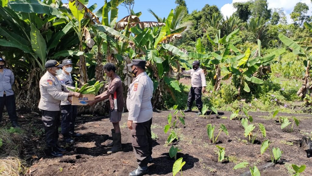 Satgas Binmas Noken Polres sarmi Sambangi Spot Pertanian Serahkan Bibit Buah Naga