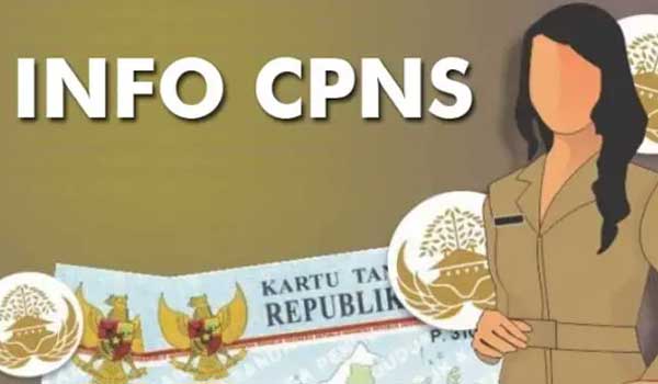 info cpns kota ambon